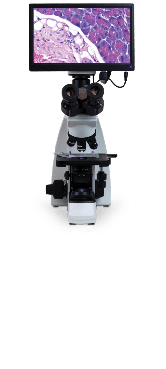 VETSCAN HDmicroscope_front _web