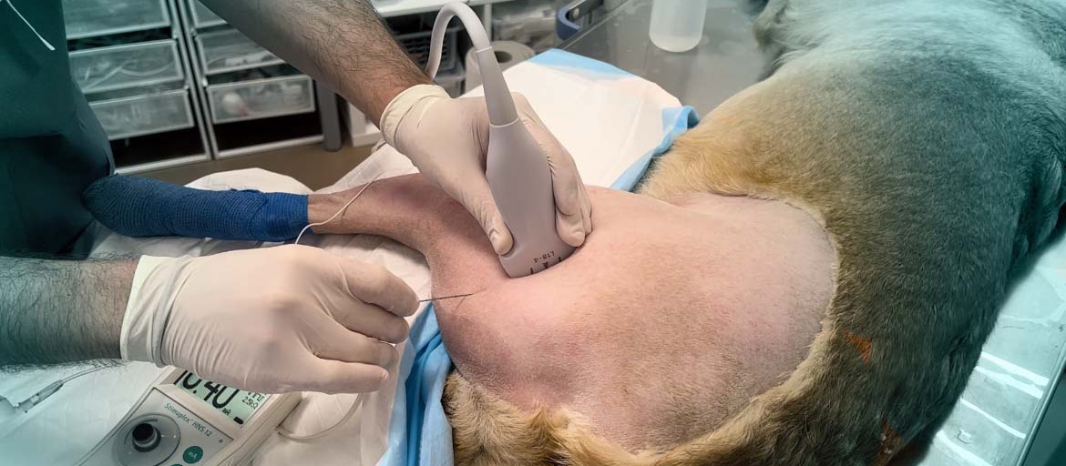 foto1-regionalanaesthesie