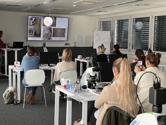 foto-dermatologie1